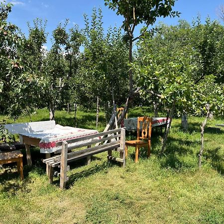 "Bilim" Guest House Tamchy Exterior photo