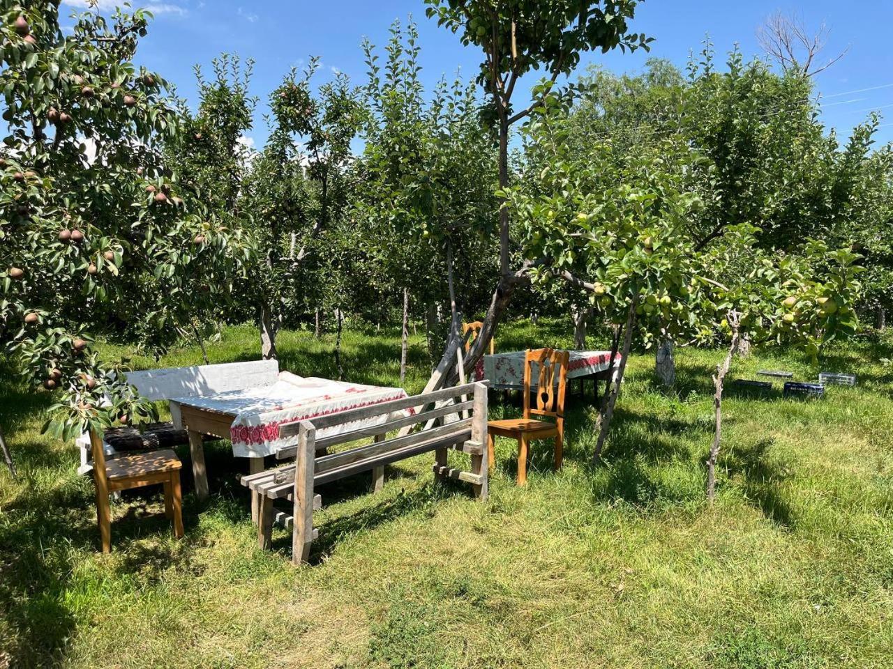 "Bilim" Guest House Tamchy Exterior photo