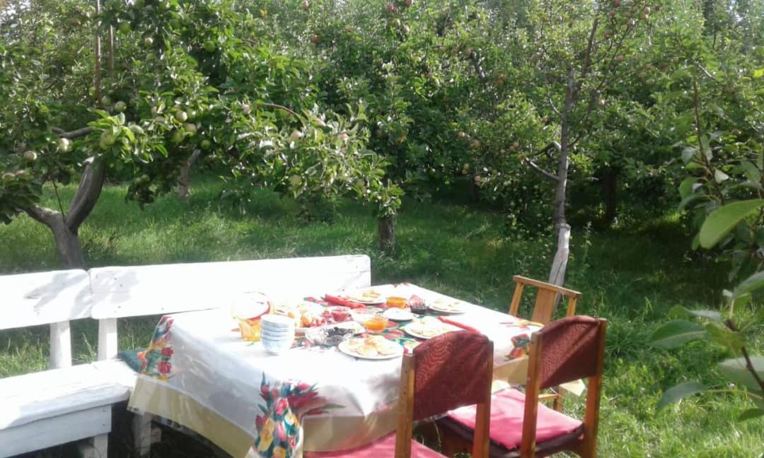 "Bilim" Guest House Tamchy Exterior photo